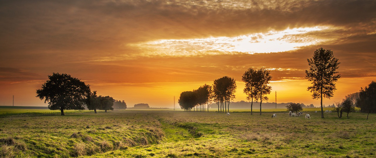安全无后顾之忧的疯狂呼叫软件
