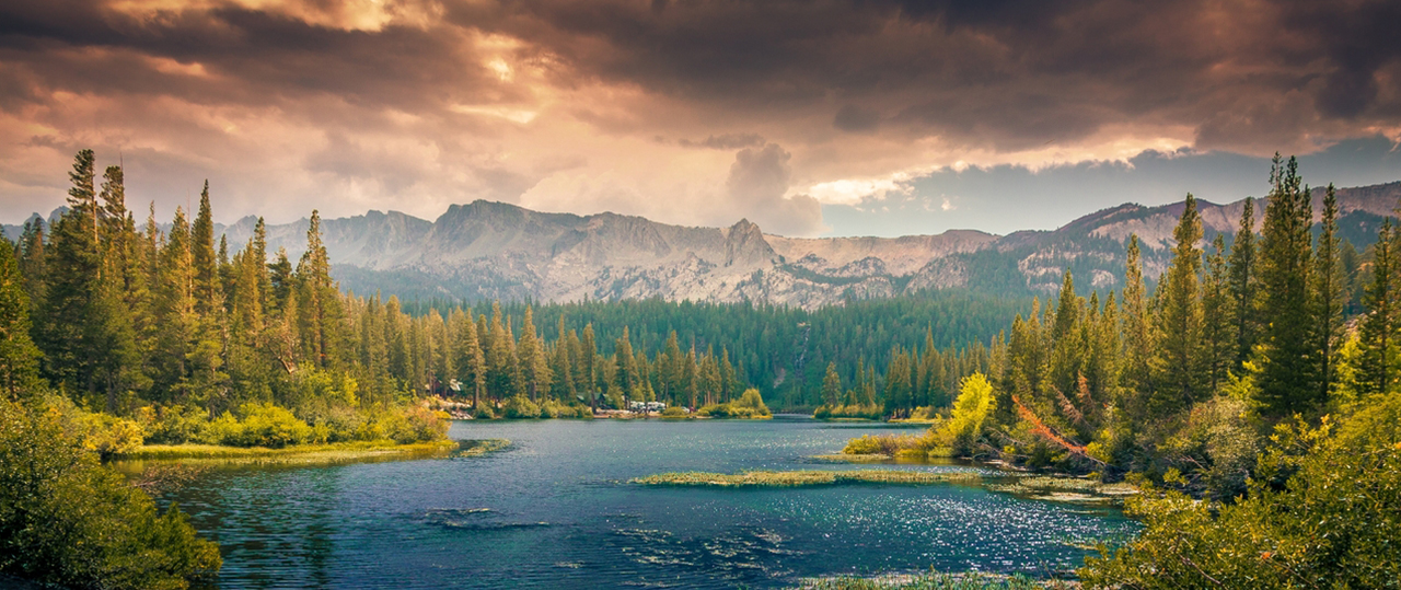 短信验证码轰炸平台