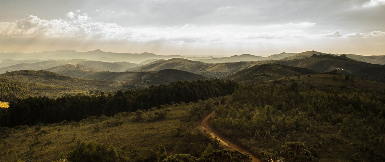 手机号轰炸服务