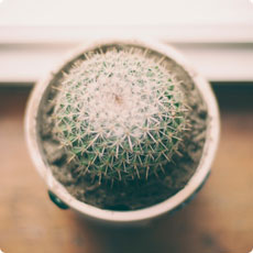 在线短信轰炸工具