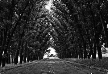 手机号在线压测平台