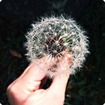 在线永久免费轰炸电话